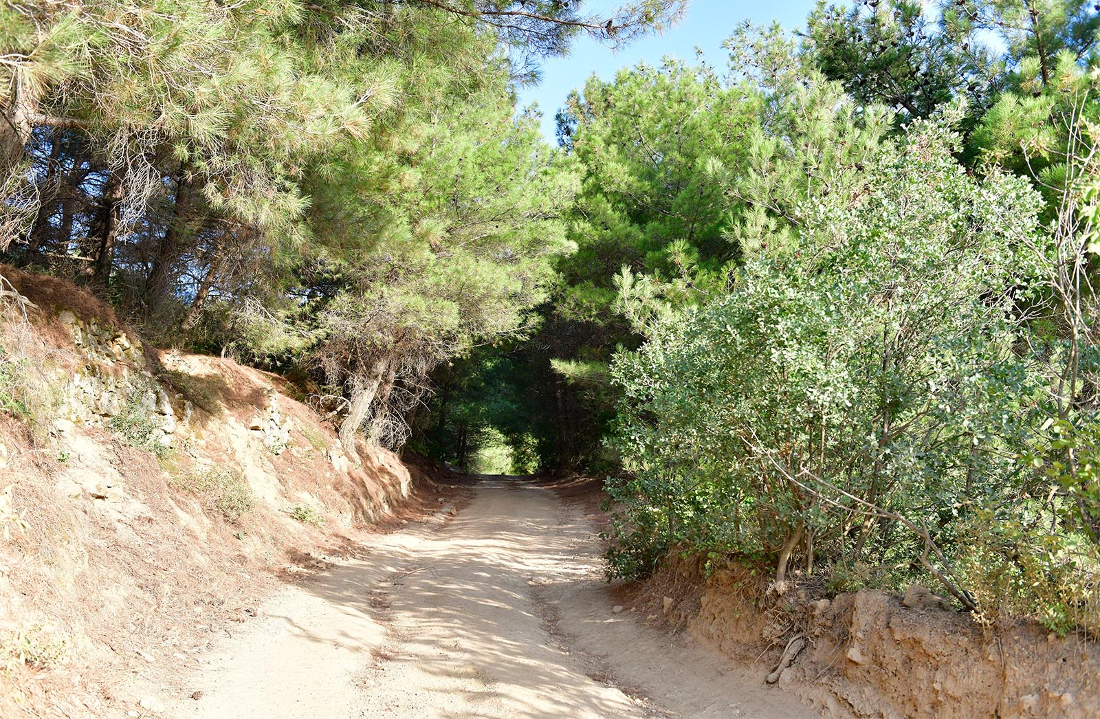 Yesilyurt Walking Routes