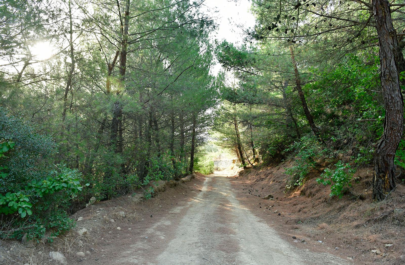 Yesilyurt Walking Routes