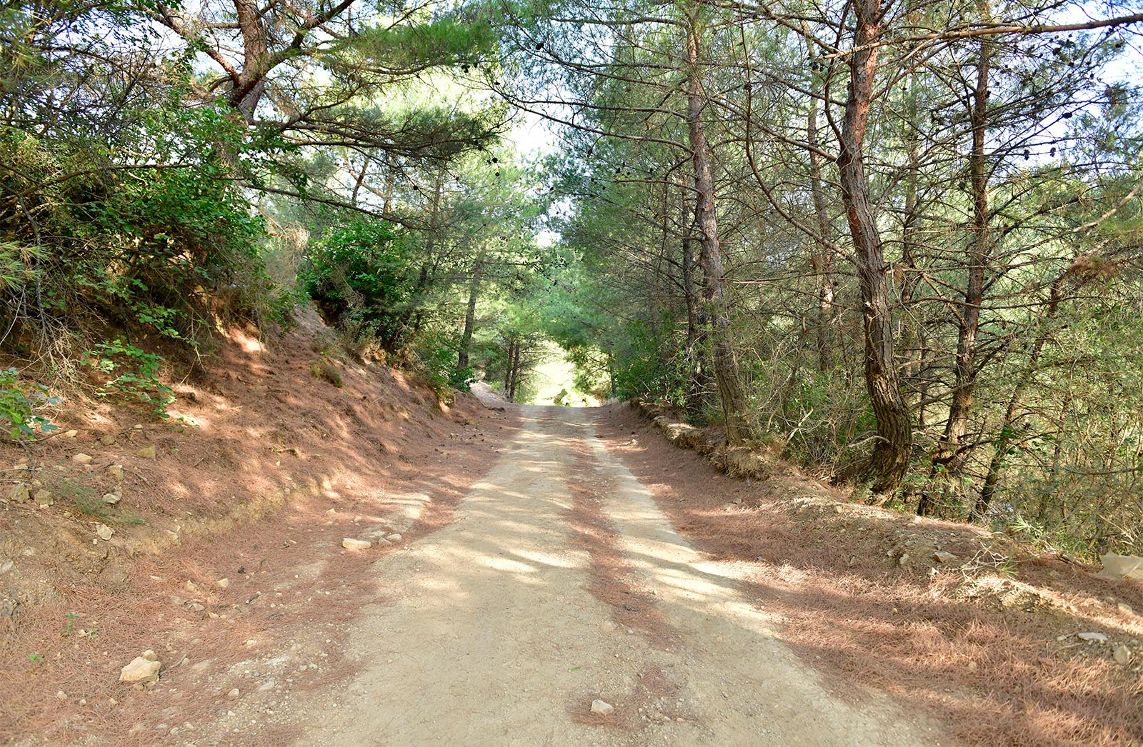 Yesilyurt Walking Routes