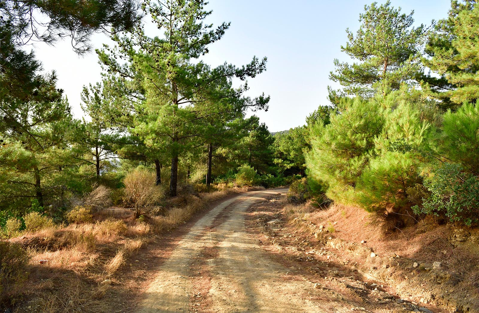 Yesilyurt Walking Routes